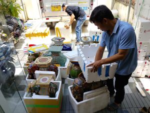 (Quy trình xử lý hàng dễ vỡ cùng Tín Phát Express