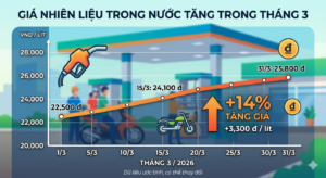 Biểu đồ giá nhiên liệu tăng trong tháng 3/2026